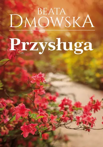 Okładka: Przysługa