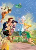 Okładka: Wróżki. Sekret magicznych skrzydeł.