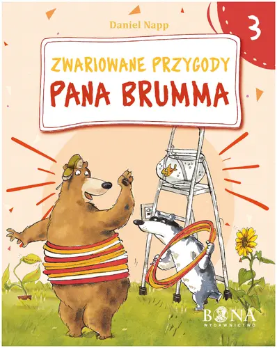 Okładka: Zwariowane przygody Pana Brumma cz. 3