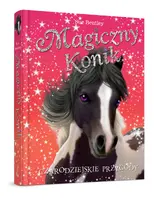 Okładka: Magiczny konik. Czarodziejskie przygody