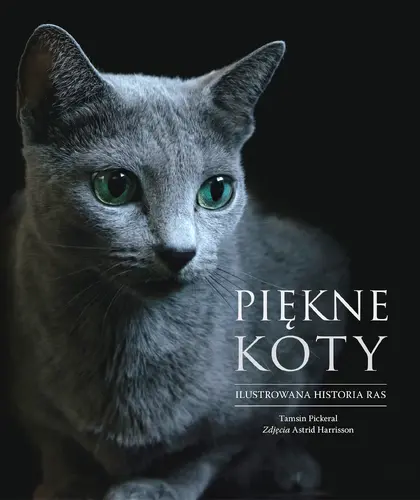 Okładka: Piękne koty