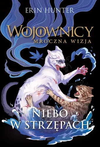 Okładka: Niebo w strzępach