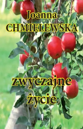 Okładka: Zwyczajne życie