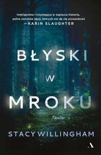 Okładka: Błyski w mroku
