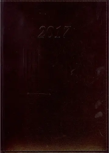 Okładka: Menager 2017 w formacie A4 kratka