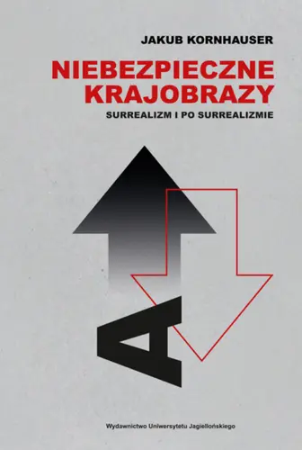Okładka: Niebezpieczne krajobrazy