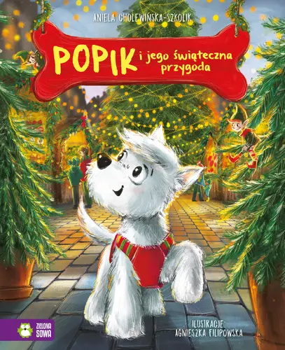 Okładka: Popik i jego świąteczna przygoda