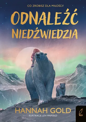 Okładka: Odnaleźć niedźwiedzia