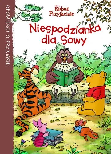Okładka: Niespodzianka dla sowy
