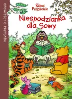 Okładka: Niespodzianka dla sowy