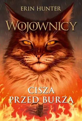 Okładka: Cisza przed burzą /NB/ brosz.