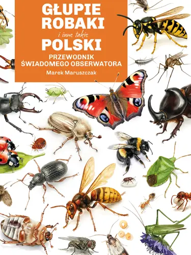 Okładka: Głupie robaki i inne takie Polski
