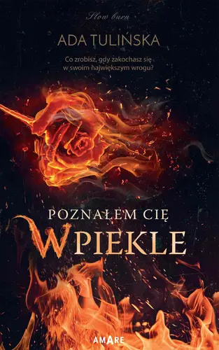 Okładka: Poznałem Cię w piekle