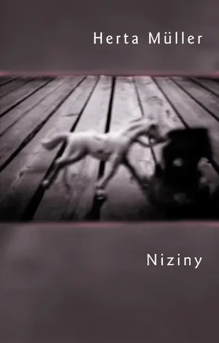 Okładka: Niziny