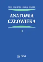 Okładka: Anatomia człowieka. Tom 2