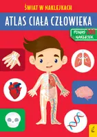 Okładka: Atlas ciała człowieka. Świat w naklejkach