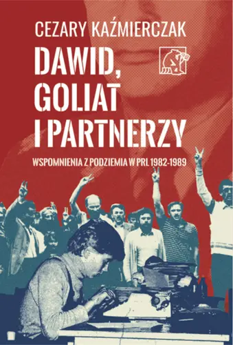 Okładka: Dawid, Goliat i partnerzy