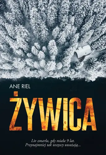 Okładka: Żywica