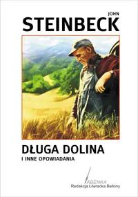 Okładka: Długa dolina