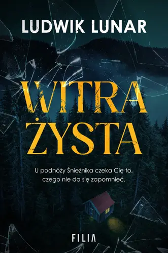 Okładka: Witrażysta
