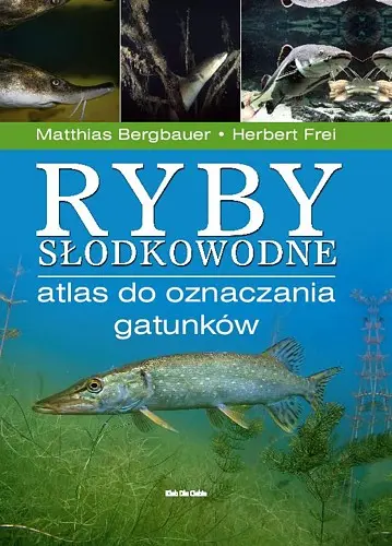 Okładka: Ryby słodkowodne