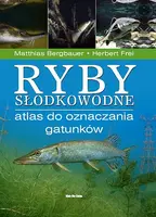 Okładka: Ryby słodkowodne