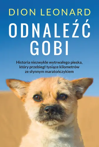 Okładka: Odnaleźć Gobi