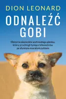 Okładka: Odnaleźć Gobi