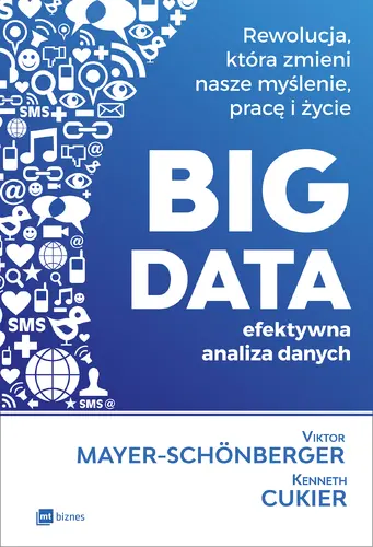 Okładka: BIG DATA - efektywna analiza danych