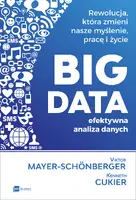 Okładka: BIG DATA - efektywna analiza danych