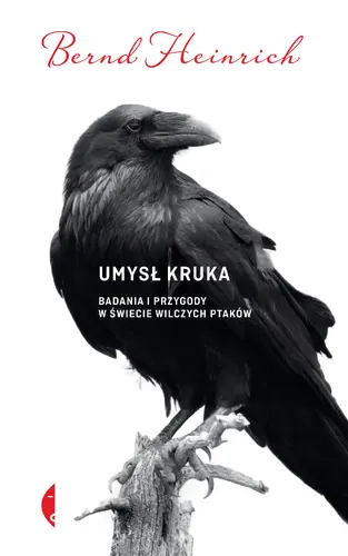 Okładka: Umysł kruka