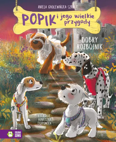 Okładka: Popik i jego wielkie przygody. Dobry rozbójnik