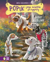 Okładka: Popik i jego wielkie przygody. Dobry rozbójnik