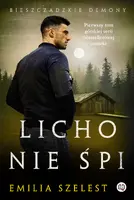 Okładka: Licho nie śpi. Bieszczadzkie demony. Tom 1