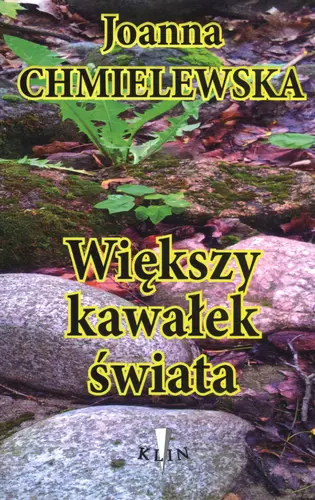 Okładka: Większy kawałek świata