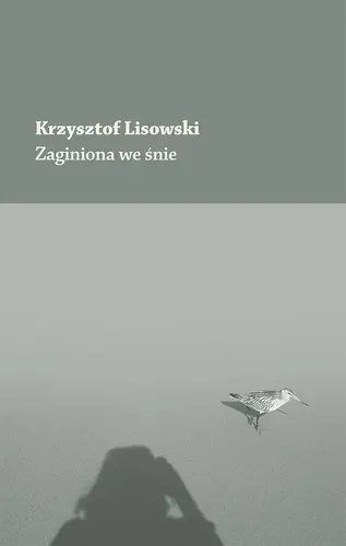 Okładka: Zaginiona we śnie