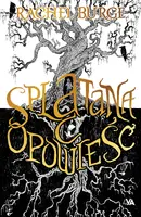 Okładka: Splątana opowieść