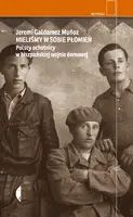 Okładka: Mieliśmy w sobie płomień