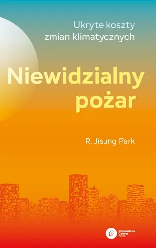 Okładka: Niewidzialny pożar.