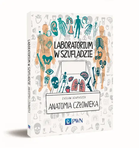 Okładka: Laboratorium w szufladzie. Anatomia człowieka