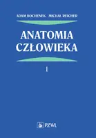 Okładka: Anatomia człowieka. Tom 1