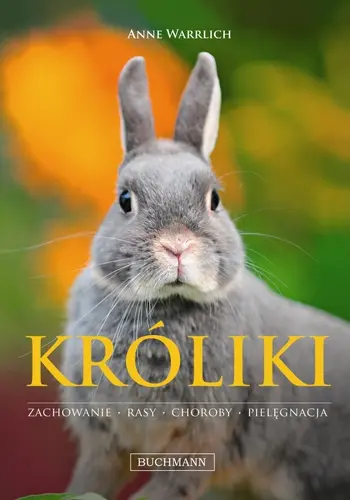 Okładka: Króliki