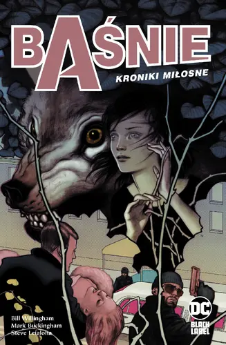 Okładka: Baśnie. Kroniki miłosne. Tom 3