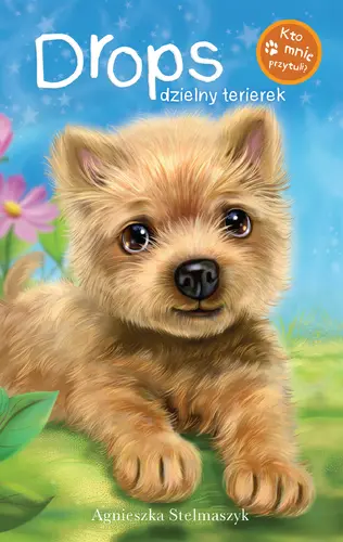 Okładka: Kto mnie przytuli?  Dropsik dzielny terierek