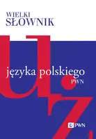 Okładka: Wielki słownik języka polskiego. Tom 5