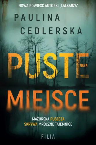 Okładka: Puste miejsce
