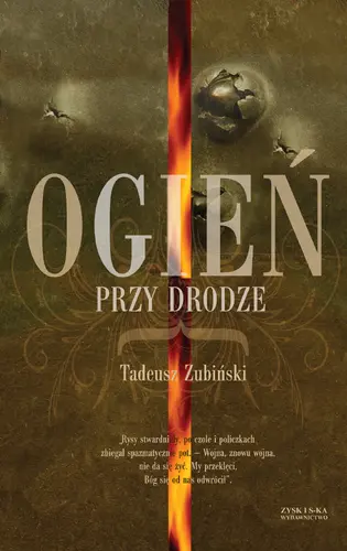 Okładka: Ogień przy drodze