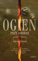 Okładka: Ogień przy drodze