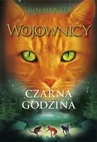 Okładka: Czarna godzina