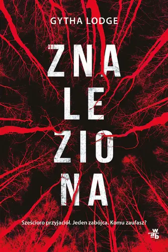Okładka: Znaleziona
